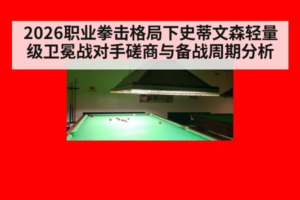 2026职业拳击格局下史蒂文森轻量级卫冕战对手磋商与备战周期分析